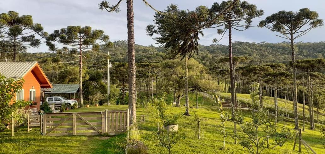 Chale Bienz - Hospedagem Rural Urubici Exterior foto